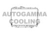 AUTOGAMMA 100502 Radiator, engine cooling